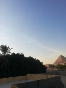 开罗Ramses Guest House的金字塔和棕榈树的景色