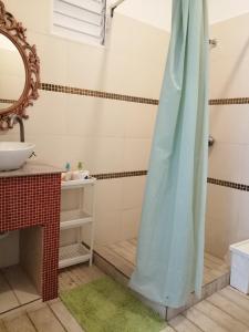 蓬塔卡纳Art Villa的带淋浴、水槽和镜子的浴室