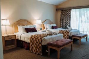 斯卡尼阿特勒斯Skaneateles Suites的酒店客房设有两张床和窗户。