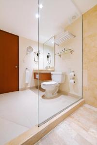 坎昆Occidental Tucancún - All Inclusive的一间带卫生间和玻璃淋浴间的浴室