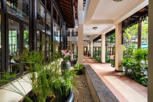 暹粒暹粒西姆酒店的植物盆栽的建筑物的走廊