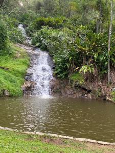 阿蒂巴亚Sitio Anju的森林池塘中央的瀑布