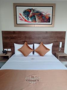 利马Hotel Cesar´s的卧室配有白色的床和2个枕头