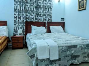 圣多明各Hotel Aluge的一间卧室配有一张带毯子的大床