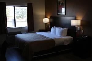 威奇托福尔斯Quality Inn & Suites Wichita Falls I-44的一间设有大床和窗户的酒店客房
