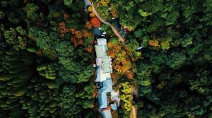 雾岛市Kirishima Momijidani Seiryuso的森林中间道路的空中景观
