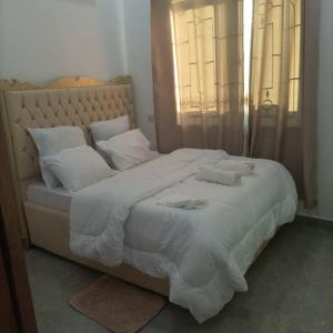 达累斯萨拉姆PEARL LULU MODERN BNB Homestay的一张白色大床,配有白色床单和枕头