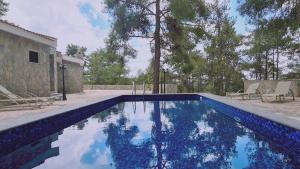 普拉特斯STAY Forest View Villa的庭院内的游泳池,带椅子和树木