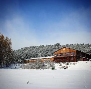 安格勒Gîte Ranch Le Serpolet的雪中一座大建筑,有雪覆盖的树木