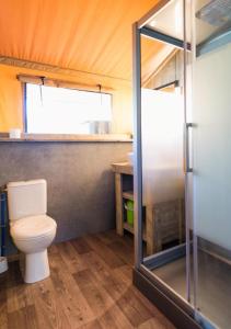Saint-CricqCamping le Lac de Thoux的一间带卫生间和淋浴的小浴室