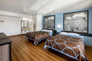 凤凰城Super 8 by Wyndham Phoenix West的酒店客房,设有两张床和蓝色的墙壁