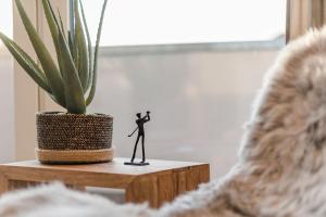 格赫伦-莱宾Luxus Spa Penthouse Sundowner的站在植物旁边的桌子上的玩具形象
