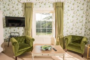 斯莱恩Boyne House Slane的客厅设有两把绿色椅子和窗户