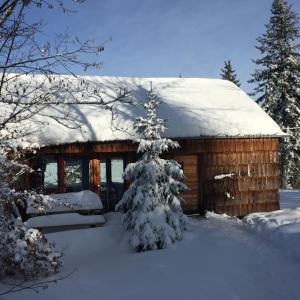 Lac des Rouges TruitesDomaine du Bugnon的小木屋设有雪盖屋顶