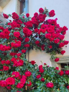 勒什Baroque villa near Bled - Resort Vidmar的建筑物边的一束红玫瑰