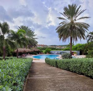威廉斯塔德Seaview 2 Bedroom - apt40 - Blue Bay Curacao的一个带游泳池和棕榈树的度假村