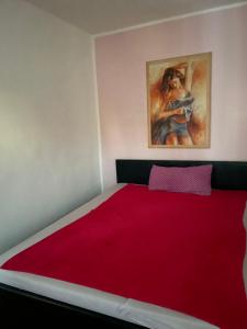 MogendorfCocos Tiberiu的一间卧室配有一张带红色毯子的大床