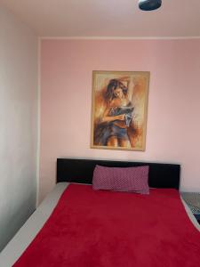 MogendorfCocos Tiberiu的卧室配有红色的床,墙上挂有绘画作品