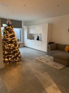 安特卫普Appartement op Italiëlei的客厅配有圣诞树和沙发