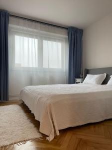 蒂米什瓦拉Apartament Mony的一间卧室设有一张床和一个大窗户