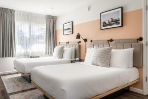 帕罗奥多Kasa Palo Alto的酒店客房设有两张床和窗户。