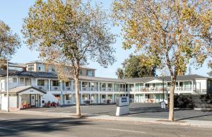 帕罗奥多Kasa Palo Alto的前面有树木的白色大建筑