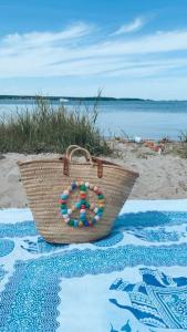 佩讷明德Ferienwohnung für Naturliebhaber的沙滩上毛巾上的一个篮子