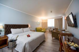 康塞普西翁地亚哥德阿尔马格罗康塞普西翁酒店的酒店客房设有床和客厅。