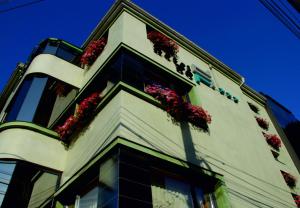 蒂米什瓦拉史迪威精品酒店的花朵边的建筑