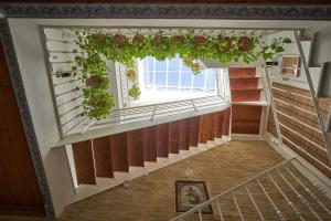塞维利亚Casa Pureza的楼梯,窗户上放有植物