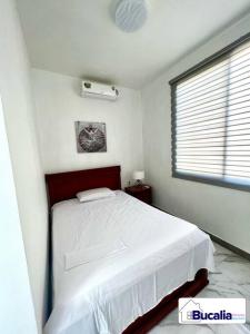 马查拉Bucalia House Machala的卧室配有白色的床和窗户。