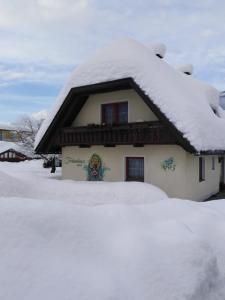 特洛普拉赫Ferienhaus Mörtl的房屋的雪盖屋顶