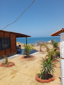 La BocanaCabana con Vista al Mar的棕榈树和大海海滩上的度假屋