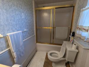 格林斯伯勒English Cottage的浴室配有卫生间、淋浴和盥洗盆。