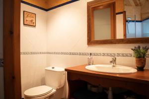 巴加Apartament Cadí- Moixeró的一间带卫生间、水槽和镜子的浴室