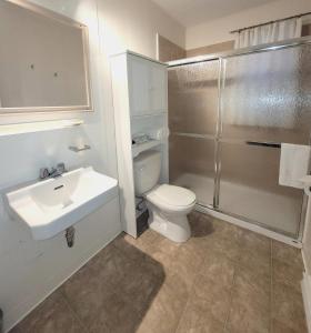 镭温泉里多尔汽车旅馆的浴室配有卫生间、盥洗盆和淋浴。