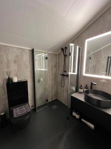 朗伊尔城贝斯坎普酒店的一间带水槽、卫生间和淋浴的浴室