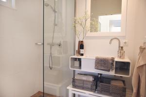 卡兰茨奥赫Strandplekje的带淋浴、盥洗盆和镜子的浴室