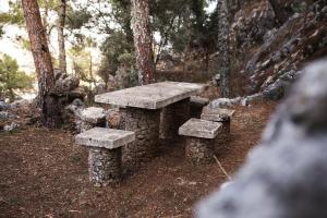 格拉茨莱马Camping TajoRodillo的树林里的石桌和长椅