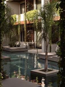 蒂锡利维孔特西纳酒店的一座建筑前的游泳池,里面种着棕榈树
