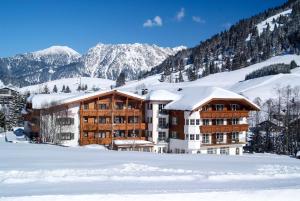 坦海姆Hotel Bogner Hof的雪覆盖着雪覆盖的群山的酒店