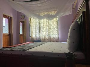 姆托瓦姆布Ava garden backpackers的一间卧室配有一张带天蓬和窗户的床