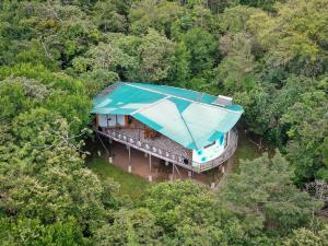 蒙泰韦尔德哥斯达黎加Moon Wonders Vacation House的森林中间有蓝色屋顶的房子