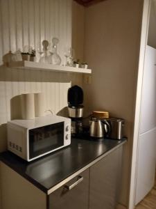 阿尔维卡Arvika, Centralt的厨房的台面上有一个微波炉