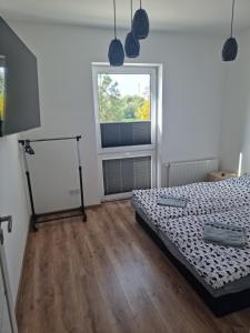 库特诺Apartament Oporowska 22A的一间卧室设有一张床和一个窗口