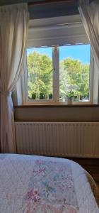 达罗LittleField B&B Durrow, Laois的一间卧室设有一张床和一个窗口