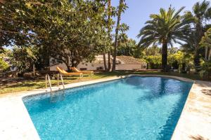 哈维亚Casa Algarrobo的一座位于庭院的游泳池,庭院里种着树木,房子里