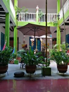 瓜杜阿斯Hostel La Casona 1859的一座带植物和遮阳伞的庭院