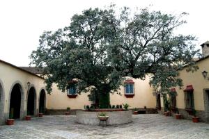 莫龙德拉夫龙特拉DEHESA LAS BRIDAS, SL的一座大树,位于一座建筑旁边的庭院