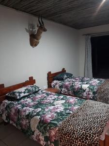 KomgaNgwenkala Game Lodge and Safaris的卧室配有两张床,墙上挂着鹿头